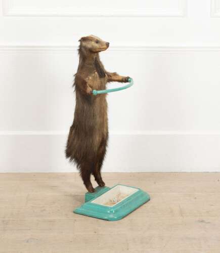 19th Century French Taxidermy Badger Umbrella Stand
