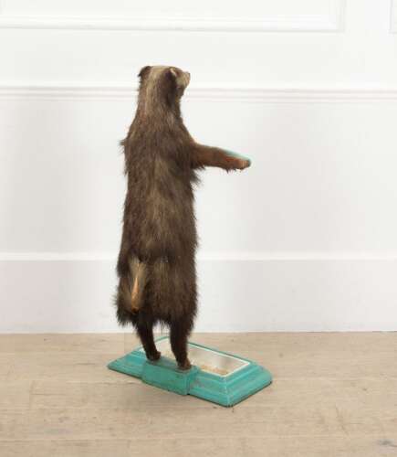 19th Century French Taxidermy Badger Umbrella Stand